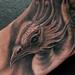 Tattoos - fenix tattoo - 54821